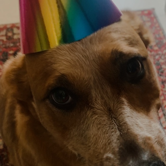 Meet your Posher, Kathy - Picture 8 of 8